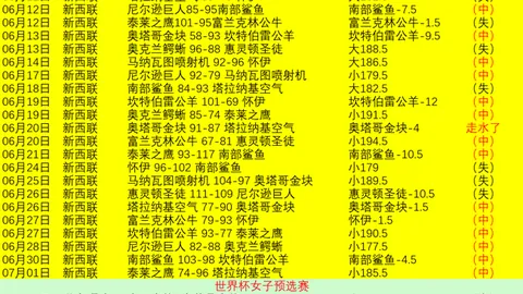 2026世界杯足球赛事直播：美国主场优势明显，波黑旅途疲惫状态堪忧