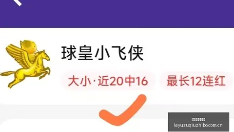 波波维奇康复历程：超越想象的毅力展现